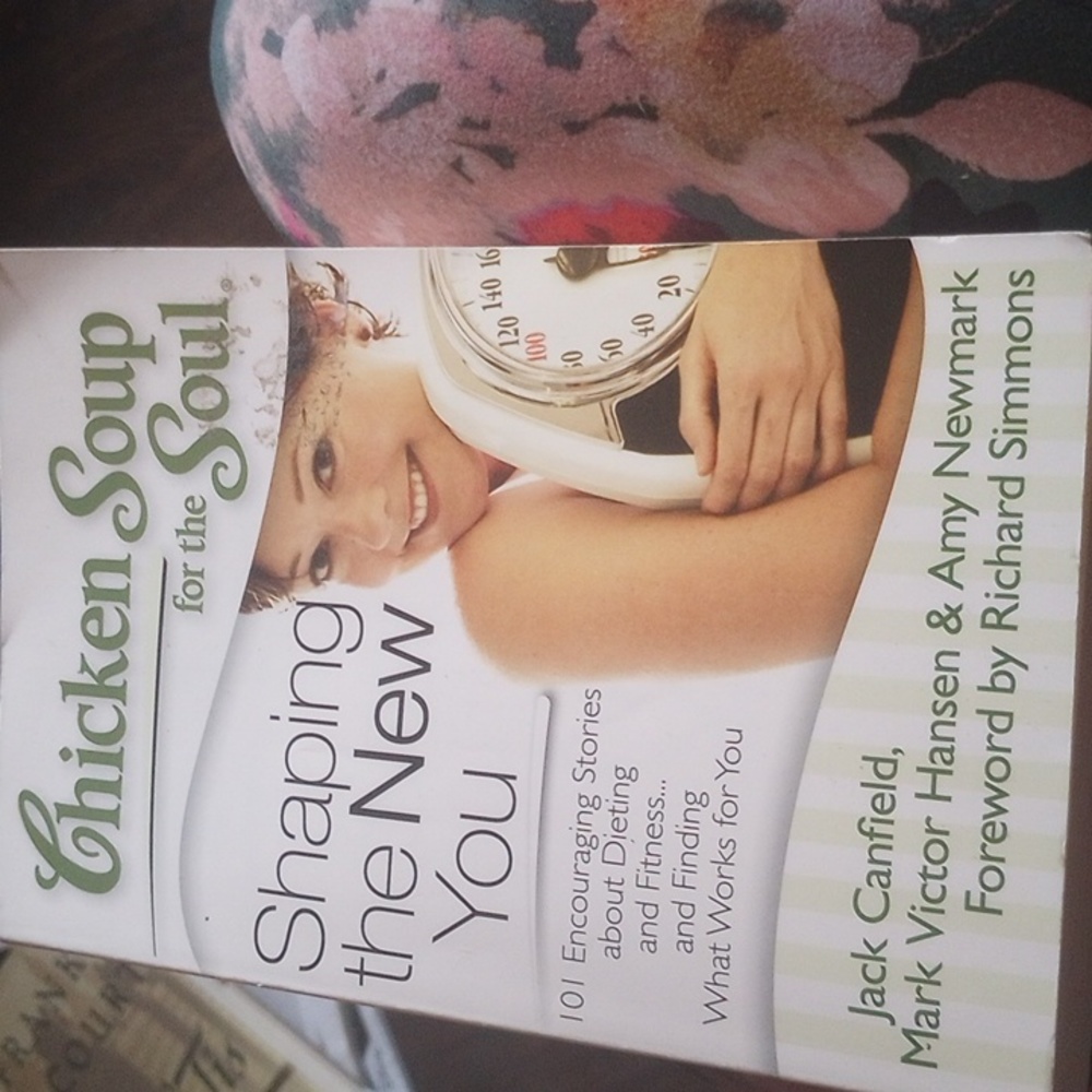 Chicken soup for the soul,shaping the new you
